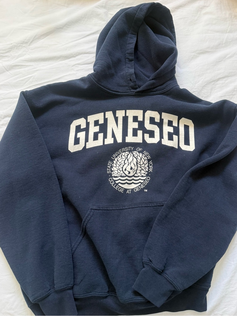 Geneseo Navy Hooded Sweatshirt